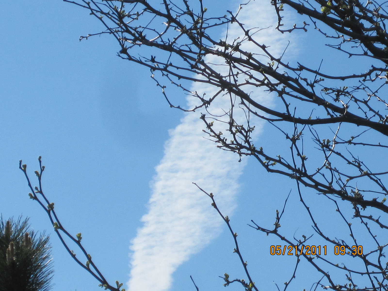 CHEMTRAILS slowly widening and thining out, blocking VITAMIN D, and dumping ALUMINUM OXIDES damaging soil by raising PH of the soil.